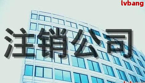 最新商贸公司注册注销条件(图5)