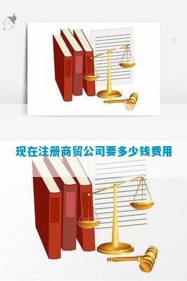 现在注册商贸公司要多少钱费用(图5)