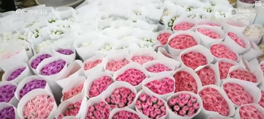 ope体育下载“鲜花经济”一路生花我国花卉海外贸易持续增长 产业竞争力显著增强(图2)