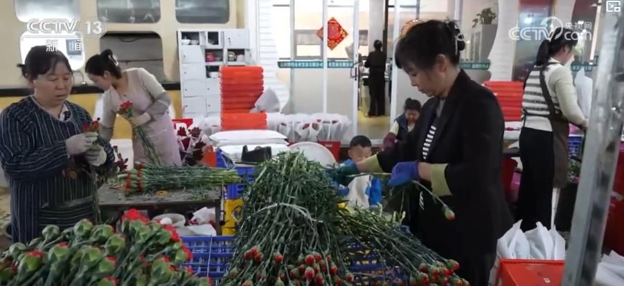 ope体育下载“鲜花经济”一路生花我国花卉海外贸易持续增长 产业竞争力显著增强(图3)
